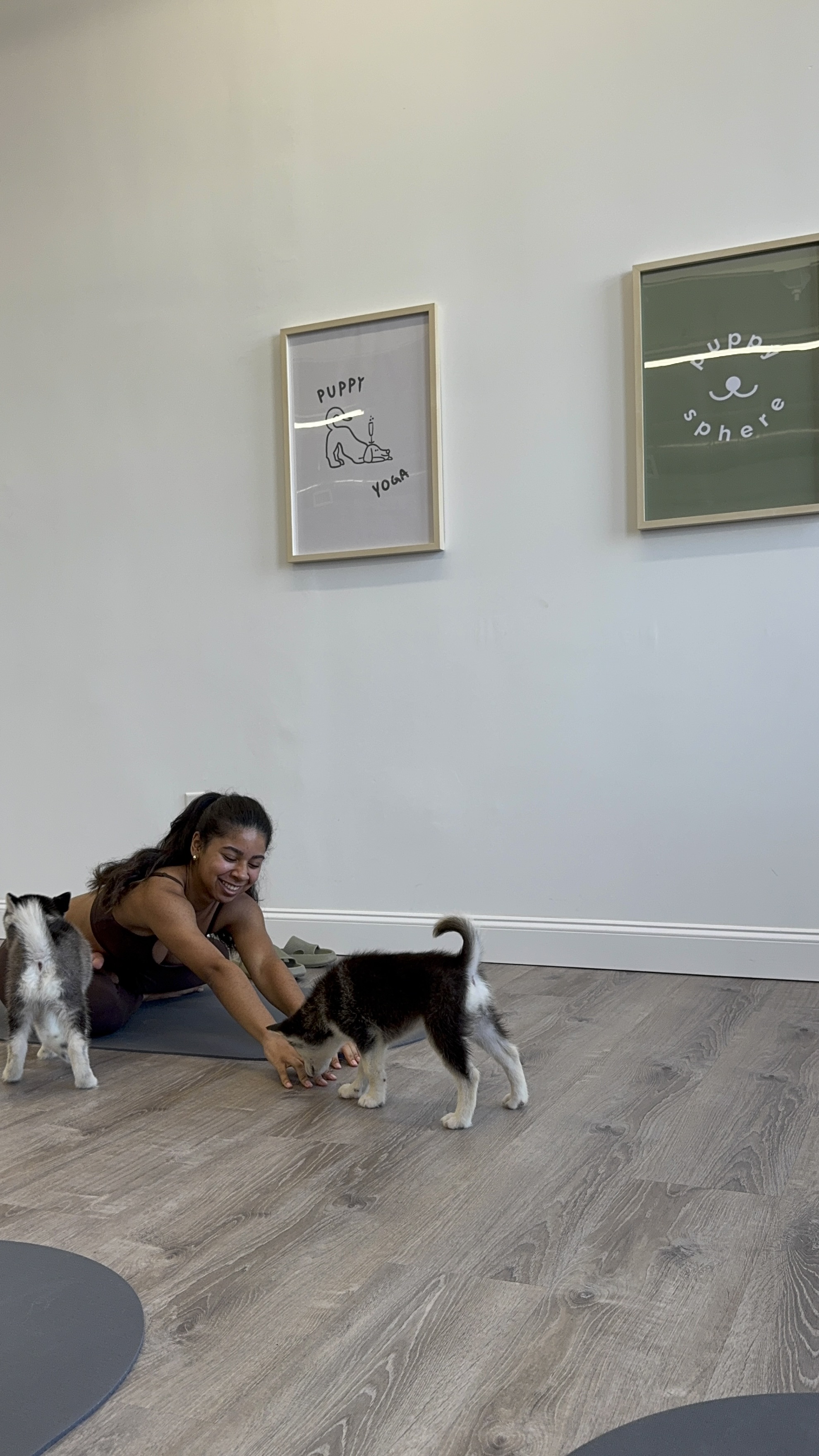 Puppy Yoga